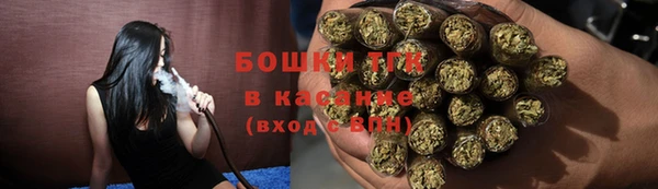apvp Алзамай