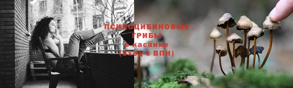 a pvp Алексеевка