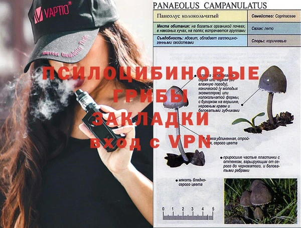 таблы Алексин