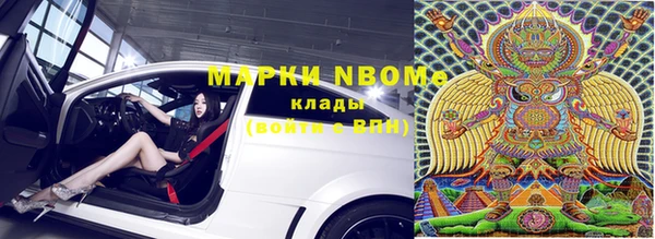 apvp Алзамай