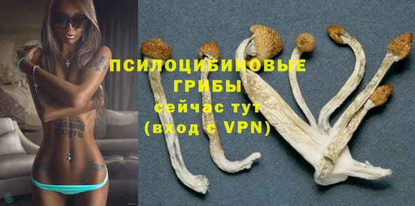 apvp Алзамай