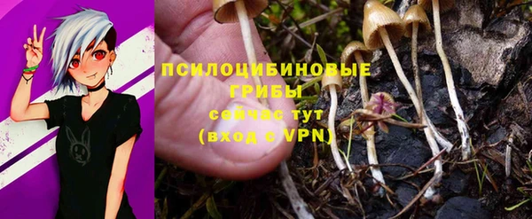 a pvp Алексеевка