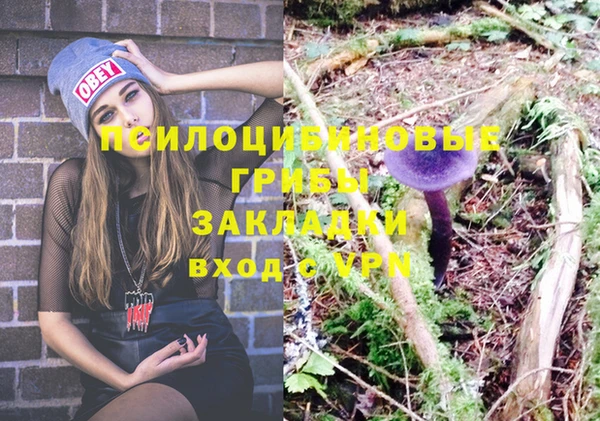 a pvp Алексеевка
