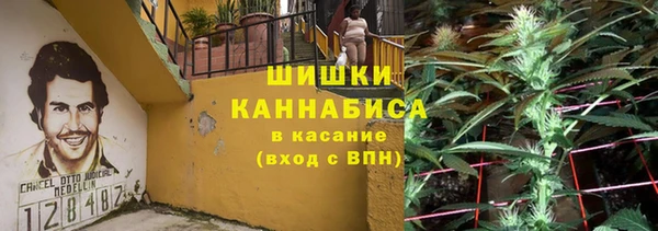 apvp Алзамай