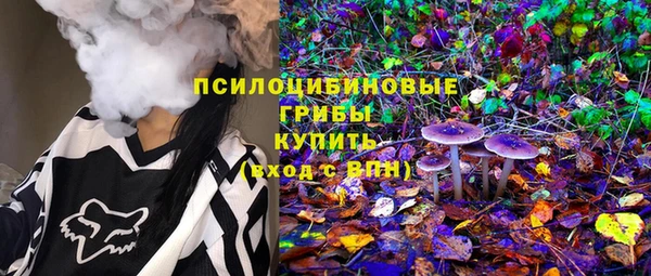 apvp Алзамай